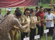 Senator Peduli Ketahanan Pangan, DPD Canangkan Penanaman Jagung Serentak Di 4 Propinsi