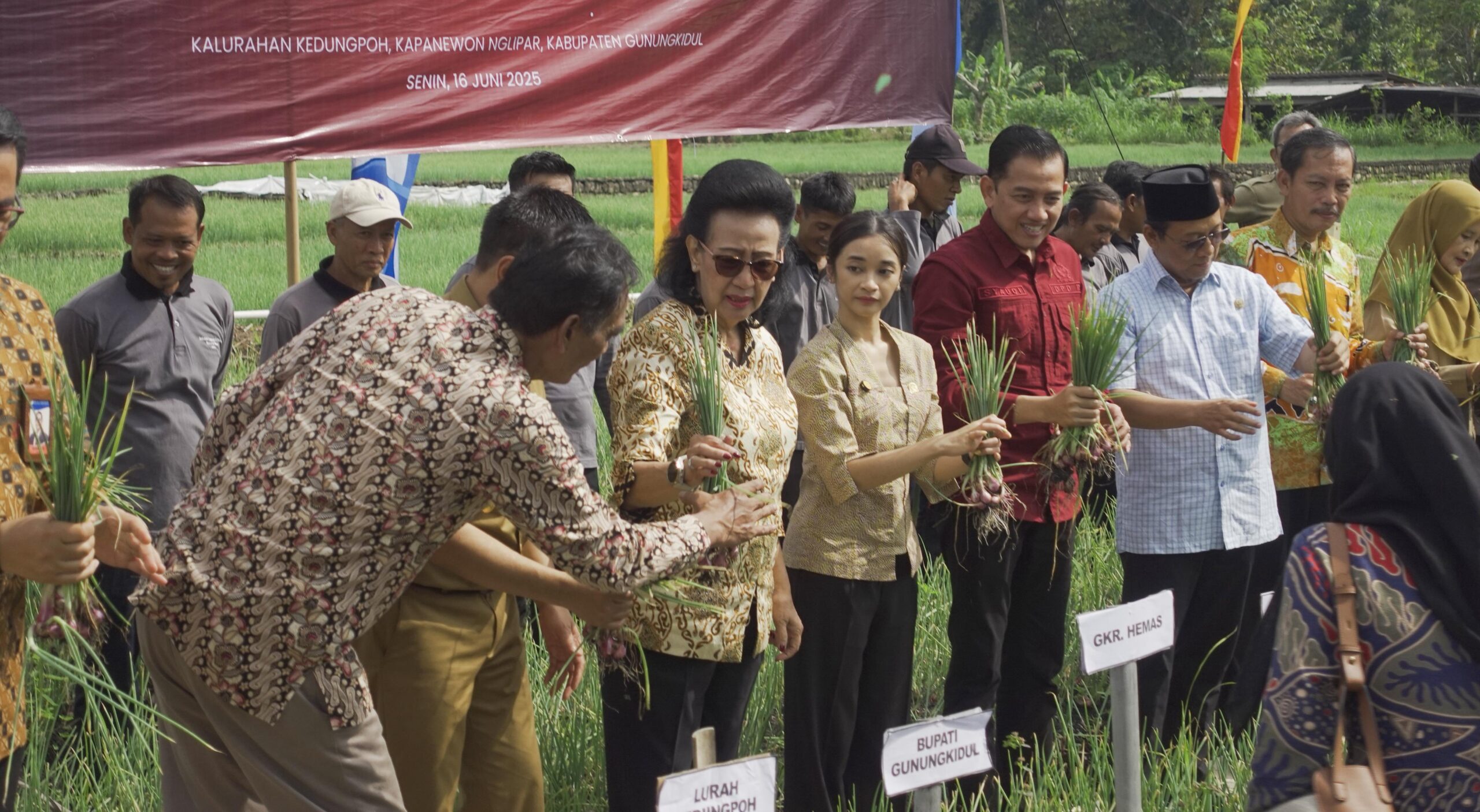 Senator Peduli Ketahanan Pangan, DPD Canangkan Penanaman Jagung Serentak Di 4 Propinsi