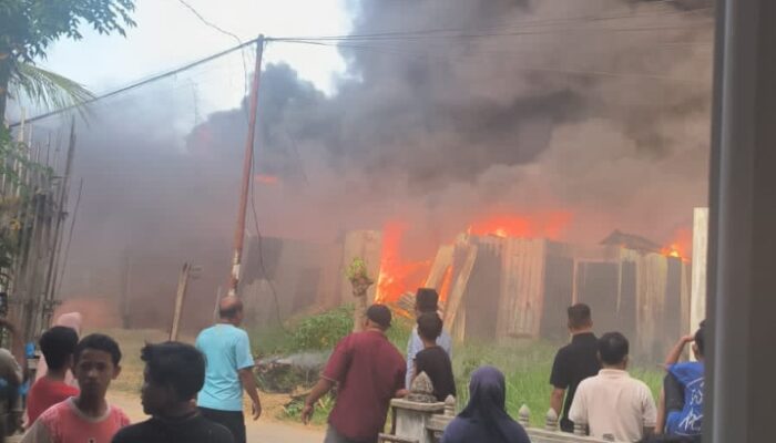 Pasutri Tewas Terjebak Kebakaran Empat Rumah Di Teumpok Teungoh
