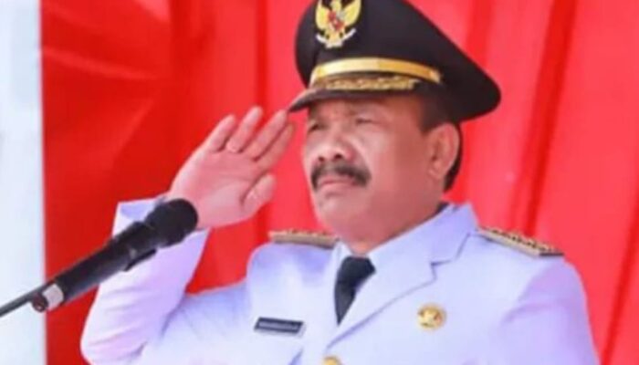 Pemkab Pidie surati Menpan-RB Terkait Sisa Honorer Tidak Masuk PPPK Paruh Waktu