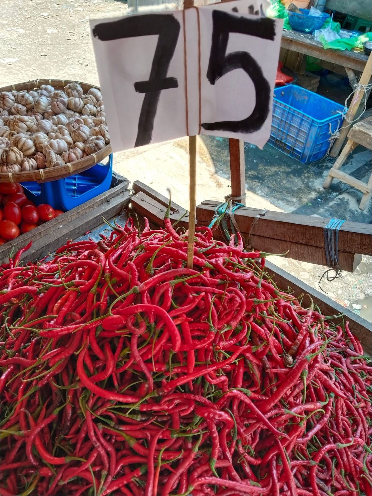 Harga Cabai Di Karo Tembus Rp100 Ribu, Lebih Mahal Dari Medan