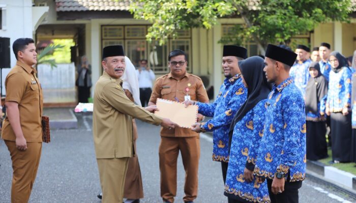 Bupati Pidie Instruksikan Satu PPPK Tanam Satu Pohon Melinjo