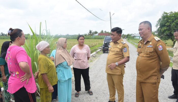 Pastikan Pengerjaan Dengan Baik, Wabup Deliserdang Tinjau Pelebaran Di Pagar Merbau