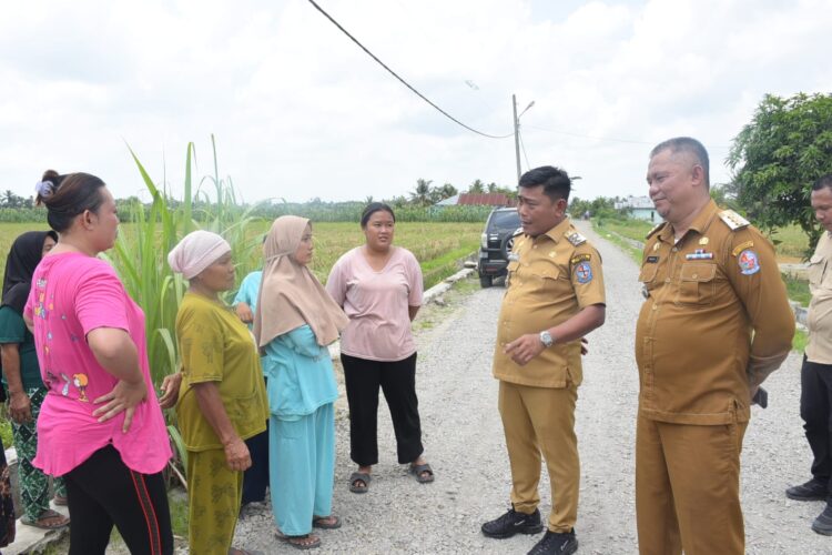 Pastikan Pengerjaan Dengan Baik, Wabup Deliserdang Tinjau Pelebaran Di Pagar Merbau