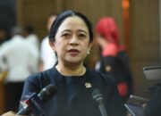 Puan Harap Pidato Presiden Di PBB Bawa Suasana Segar Yang Banggakan Rakyat Indonesia