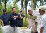BULOG Sumut Serap 3 Ton GKP Di Stabat
