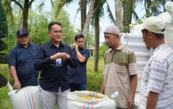 Perum BULOG Kantor Wilayah Sumatera Utara (Kanwil Sumut) melakukan kegiatan penyerapan Gabah Kering Panen di Desa Karang Rejo Kecamatan, Stabat, Kabupaten Langkat, Selasa (22/9/2025).