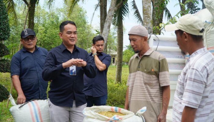 BULOG Sumut Serap 3 Ton GKP Di Stabat