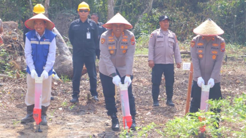 Polres Madina Dukung Ketahanan Pangan dengan Menanam Jagung Di Lahan 3 Hektare