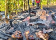 BPBD Aceh Besar Imbau Waspada Kebakaran, Jangan Bakar Sampah Dan Lahan