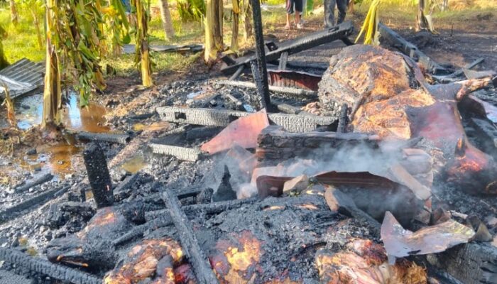 BPBD Aceh Besar Imbau Waspada Kebakaran, Jangan Bakar Sampah Dan Lahan