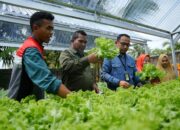 Kilang Dumai Lahirkan Program Bedelau Minapolitan Dampingi Masyarakat Tumbuh