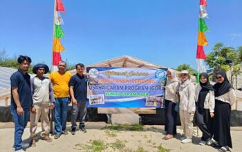 PT PLN (Persero) Unit Induk Pembangunan Sumatera Bagian Utara (UIP SBU) melalui program TJSL (Tanggung Jawab Sosial dan Lingkungan) PLN Peduli hadir bersama Rumah Garam Aceh, Natural Aceh, dan Koperasi Garam Aceh melaksanakan panen perdana Program IGORA (Industri Garam Olahan Rakyat), yang merupakan bagian dari Paket Program Garam Aceh Berbasis Listrik, di Desa Pasi, Kecamatan Lhong, Kabupaten Aceh Besar, Sabtu (20/9/2025).