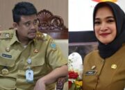 Sosok Herly Puji Latuperissa, ASN yang Dicopot Gubernur Bobby Gara-gara “Tak Sopan”