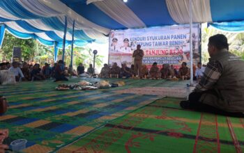 Dalam rangka mendukung swasembada pangan, Desa Tanjung Rejo, Kabupaten Deli Serdang, Sumatera Utara melakukan syukuran panen dan tepung tawar benih, Selasa (23/9/2025).