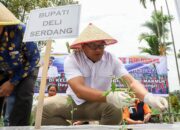 Bupati Deliserdang Jadikan Sibolangit Sentra Cabai Dan Kawasan Wisata