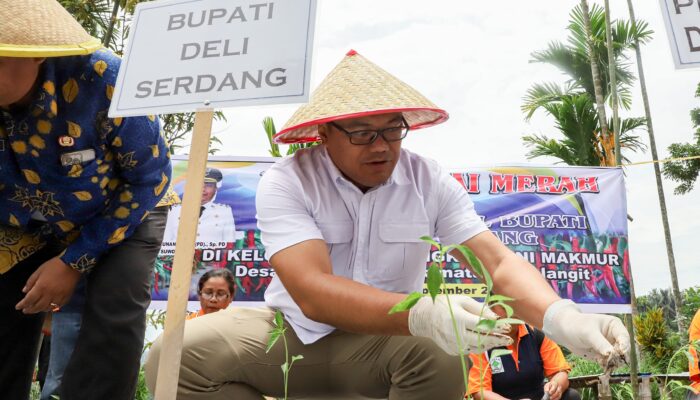 Bupati Deliserdang Jadikan Sibolangit Sentra Cabai Dan Kawasan Wisata