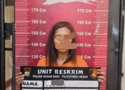 Polsek Medan Baru Ringkus Wanita Bawa Kabur HP Milik Driver Ojol