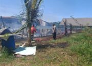 Polisi Usut Terbakarnya Kandang Ayam FK Hewan USK