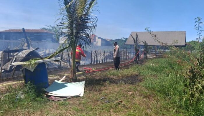 Polisi Usut Terbakarnya Kandang Ayam FK Hewan USK