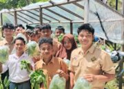 Manfaatkan Botol Plastik, Siswa SMK Berhasil Panen Sayur Hidroponik Di Pekarangan Sekolah