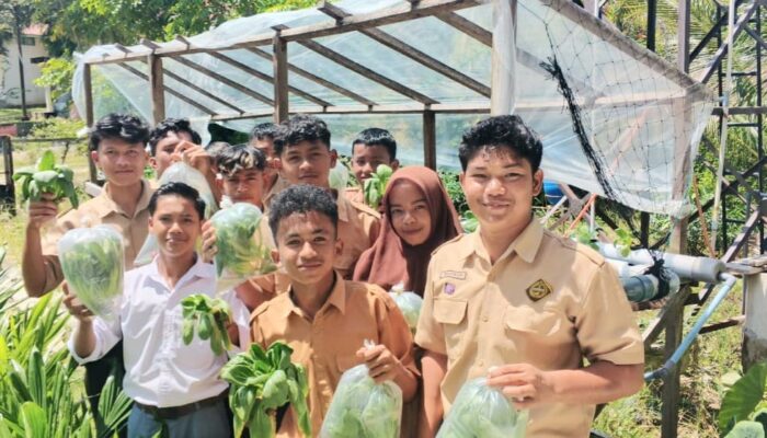 Manfaatkan Botol Plastik, Siswa SMK Berhasil Panen Sayur Hidroponik Di Pekarangan Sekolah