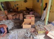 Kenapa Ikan Asin Sibolga Sangat Diminati? Ini Jawabannya