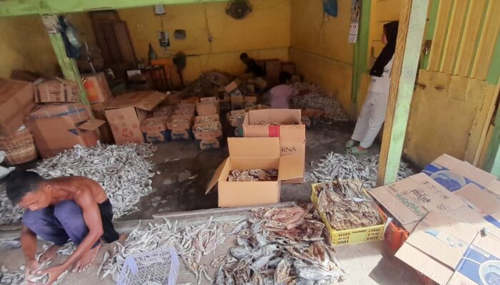 Kenapa Ikan Asin Sibolga Sangat Diminati? Ini Jawabannya
