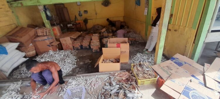 Kenapa Ikan Asin Sibolga Sangat Diminati? Ini Jawabannya