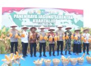 Wakapoldasu: Panen Jagung Sumut Kuartal III 22 Ribu Ton