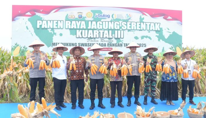 Wakapoldasu: Panen Jagung Sumut Kuartal III 22 Ribu Ton