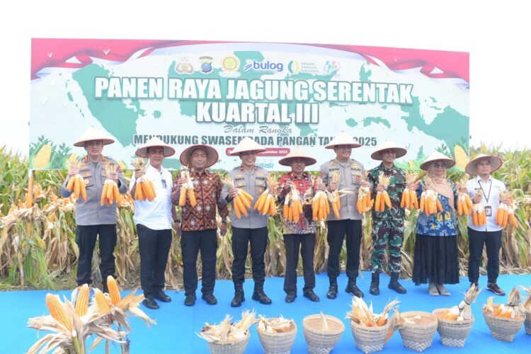 Wakapoldasu: Panen Jagung Sumut Kuartal III 22 Ribu Ton