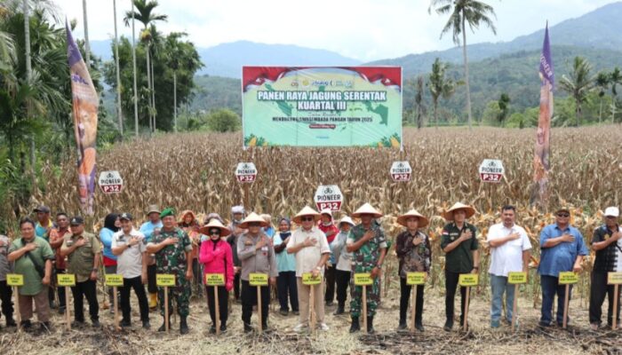 Polres Agara Panen Raya Jagung Serentak Dihadiri Bupati Salim Fakhry