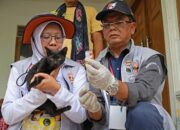 World Rabies Day 2025, Warga Pulo Aceh Terima Vaksin Rabies Gratis Dari ICA Aceh