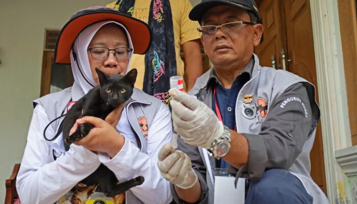 World Rabies Day 2025, Warga Pulo Aceh Terima Vaksin Rabies Gratis Dari ICA Aceh