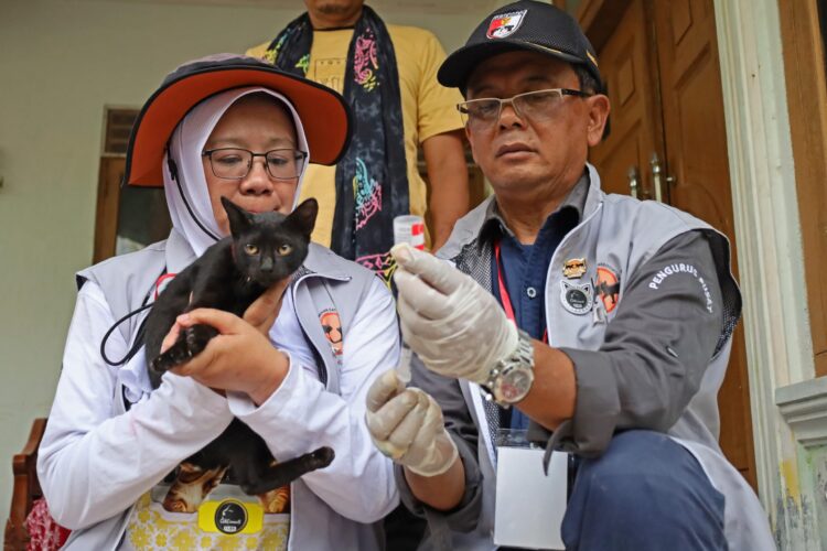 World Rabies Day 2025, Warga Pulo Aceh Terima Vaksin Rabies Gratis Dari ICA Aceh