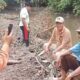 Sengketa Tanah Rodang Tinapor, Warga Desak Bupati Dan DPRD Madina Turun Tangan