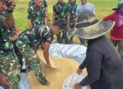 Letda CZi Tatra Siregar Dampingi Petani Geumpang Panen Padi