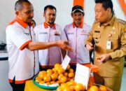 Siponjot Launching Kopdes Merah Putih