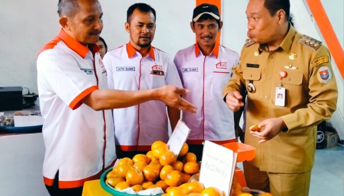 Siponjot Launching Kopdes Merah Putih