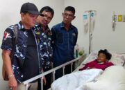 Ketua  AMPI Langkat Jenguk Farel Korban Monyet Liar 