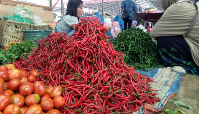 Harga Cabai Naik Lagi, Alarm Bahaya Jika Harga Mahal Bertemu Daya Beli Lemah