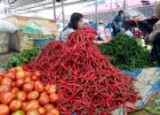 Harga Cabai Merah Dekati 70 Ribu, Berikut Proyeksi Harga Kedepan