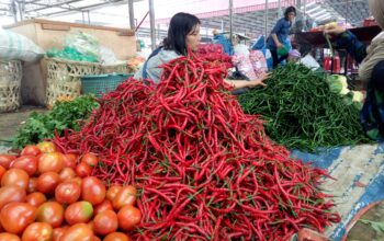 Dari hasil pengamatan langsung pada Jumat (5/9) harga cabai merah di pasar tradisional di Sumatera Utara terpantau ada yang dijual Rp68 ribu per Kg.