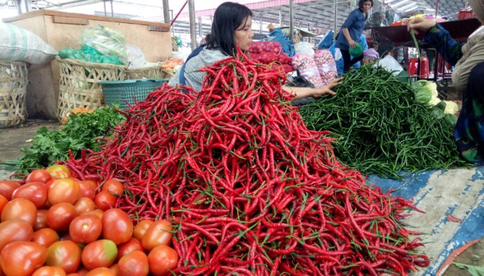 Harga Cabai Merah Dekati 70 Ribu, Berikut Proyeksi Harga Kedepan
