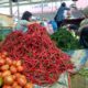 Harga cabai di Sumatera Utara kembali menunjukkan gejolak tajam dalam sepekan terakhir. Setelah sempat menembus Rp90 ribu hingga Rp100 ribu per kilogram di awal pekan, harga cabai merah tiba-tiba anjlok ke level Rp46 ribu per kilogram pada Rabu (10/9). Namun penurunan itu hanya sesaat, karena pada Kamis (11/9) harga cabai merah kembali melonjak ke kisaran Rp60 ribu per kilogram.