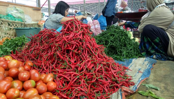 Harga Cabai Merah Berbalik Turun, Tetapi Masih Mahal 60 Ribu