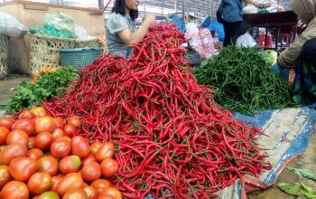 Harga cabai merah kembali meroket hingga menembus Rp100 ribu per Kg di tingkat konsumen, khususnya di warung-warung kelontong atau yang dikenal masyarakat sebagai kedai sampah.