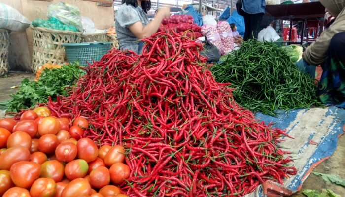 Harga Cabai Merah Kembali Tembus Rp100 Ribu, Cabai Kardus Jadi Pemicunya