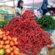 Harga cabai merah kembali meroket hingga menembus Rp100 ribu per Kg di tingkat konsumen, khususnya di warung-warung kelontong atau yang dikenal masyarakat sebagai kedai sampah.